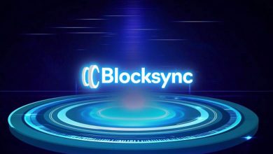 launch-your-cryptocurrency-presale-seamlessly-in-2025-with-blocksync’s-full-service-development-team